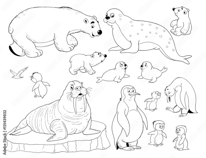 Free arctic animal coloring sheets