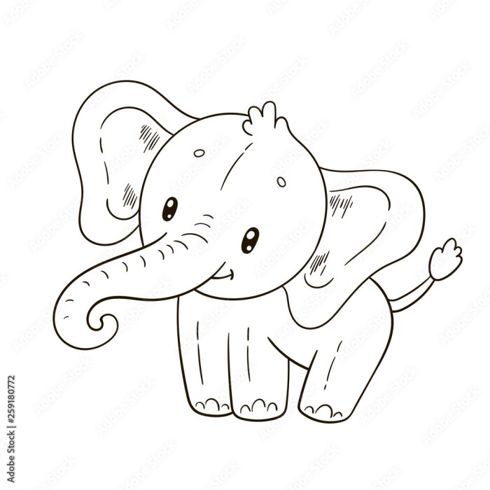 Elephant animal kingdom coloring book