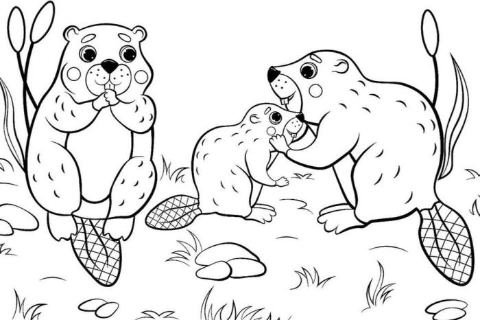 Coloring book printout animals