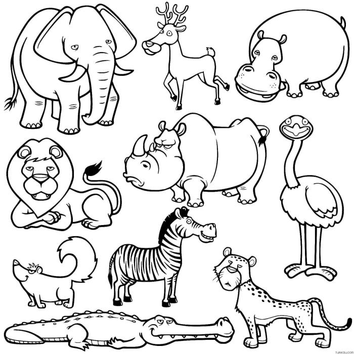 Coloring page of animals