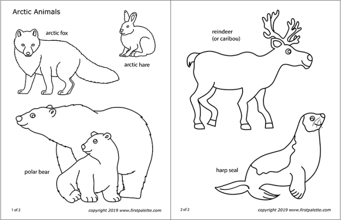 Free arctic animal coloring sheets