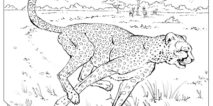 Realistic animal coloring sheets printable