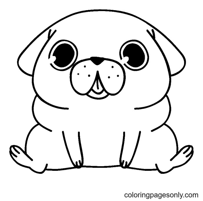 Animal coloring pages pug