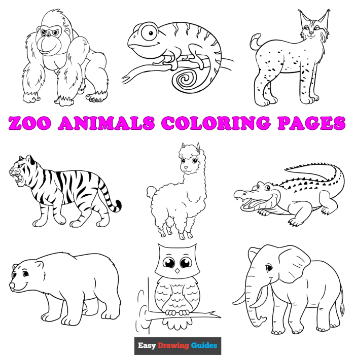 Free printable animal coloring worksheets