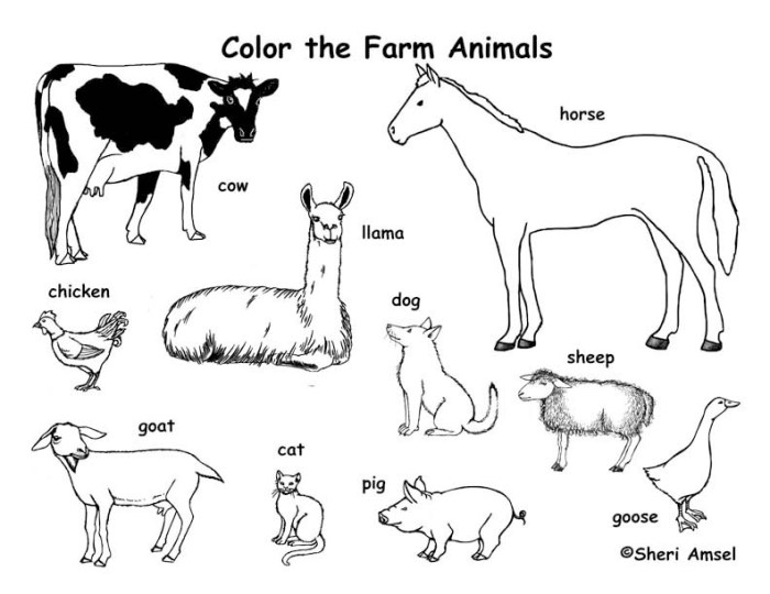 Free coloring sheets farm animals