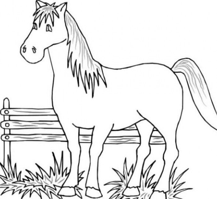 Farm animals coloring page free printable