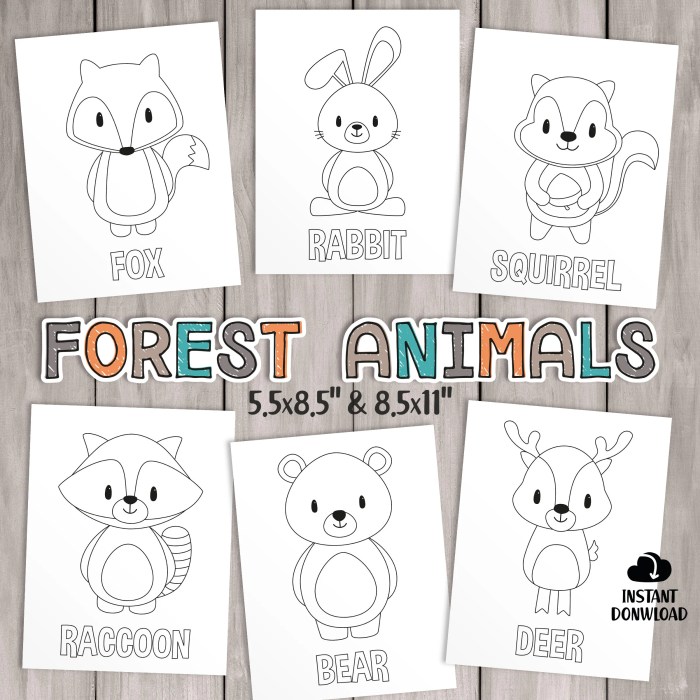 Forest animal coloring and activity sheets