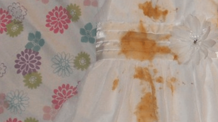 Will food coloring stain a toilet