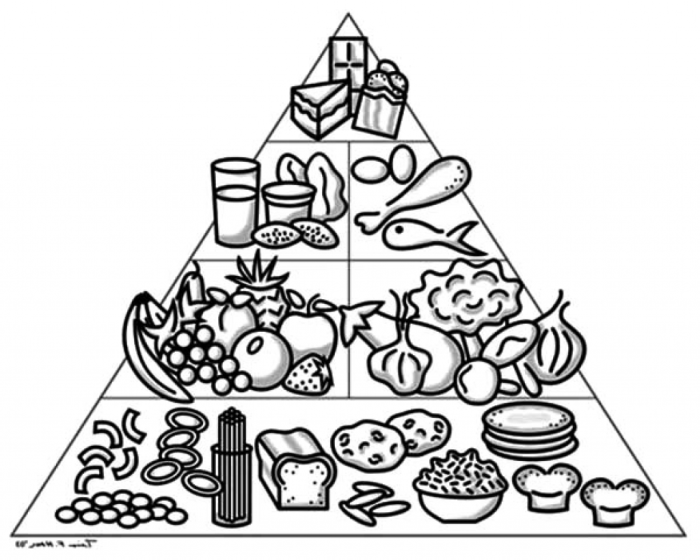 Food pyramid coloring sheet